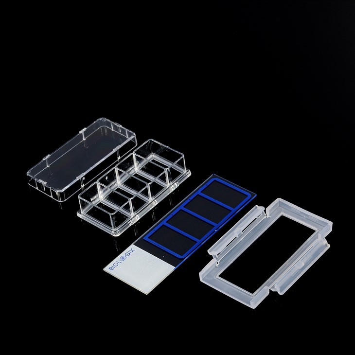 4 Well Cell Culture Slides