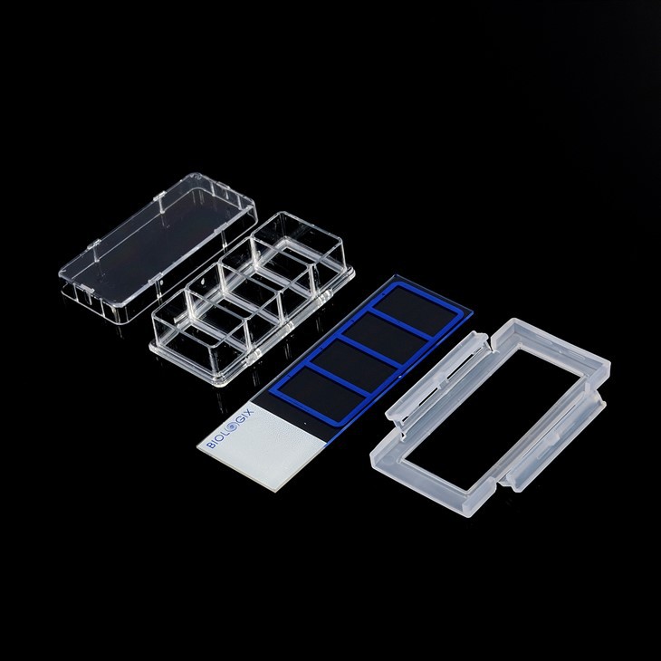 2 Well Cell Culture Slides
